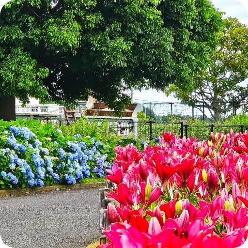 自然と遊びを満喫できる広大な芝生とアクティビティが楽しめる