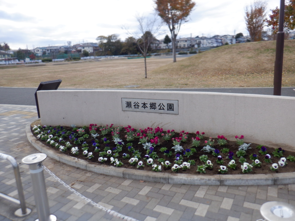 🌹🌷 冬でも綺麗に咲いています 🌷🌹