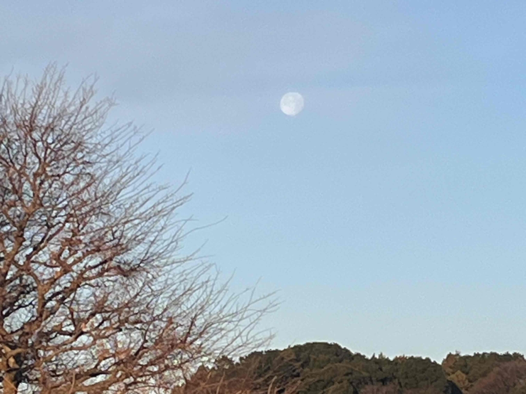 🌄　今年も宜しくお願いします。　🎍　　　　　　　　　　　　　　　　　　　　　　　　　　　　　