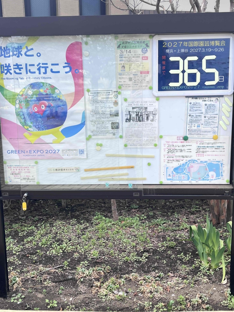 彡🌺🌼🌷　花博まであと一年！　🌺🌼🌷彡　　　　　　　　　　　　　　　　　　　　　　　　　　　　　